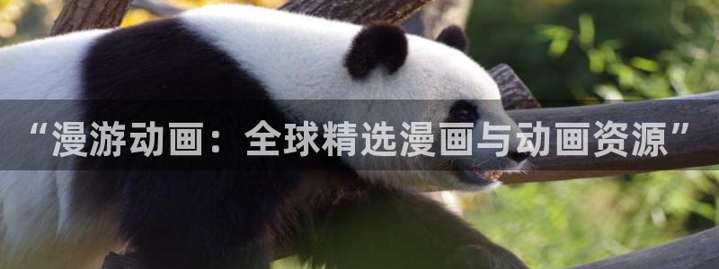 omofun恋爱动漫：“漫游动画：全球精选漫画与动画资源”配图