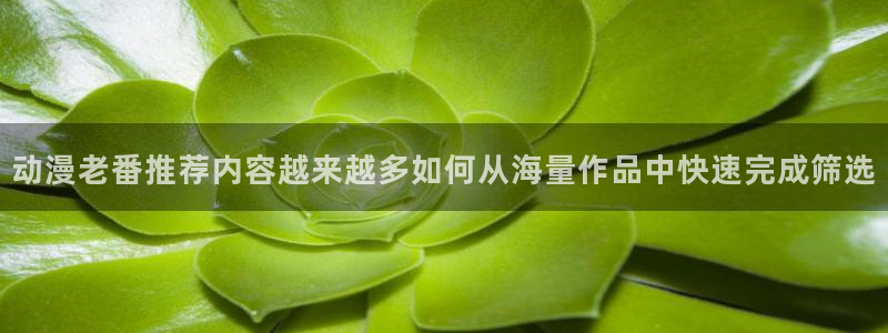 omofun手机免费观看:动漫老番推荐内容越来越多如何从海量作品中快速完成筛选配图