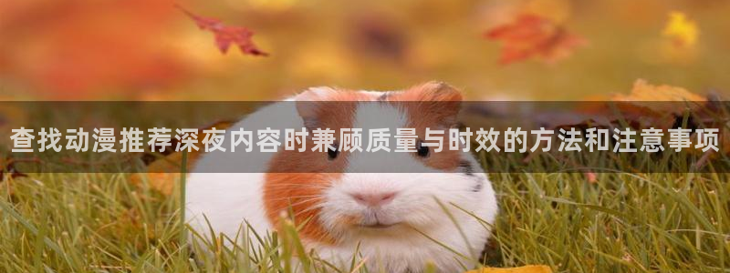 omofun动漫网:查找动漫推荐深夜内容时兼顾质量与时效的方法和注意事项配图