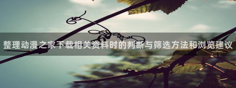 omofun手机动漫免费观看:整理动漫之家下载相关资料时的判断与筛选方法和浏览建议配图