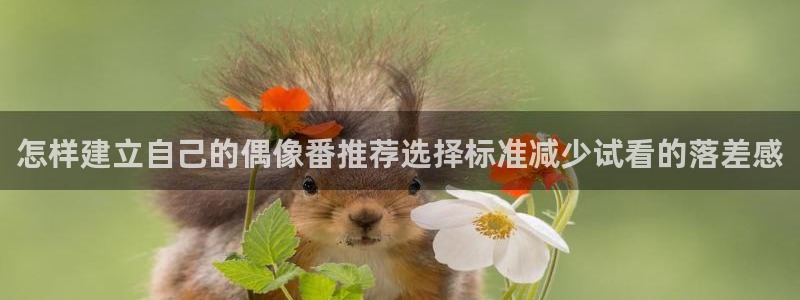 omofun动漫高清在线观看：怎样建立自己的偶像番推荐选择标准减少试看的落差感配图
